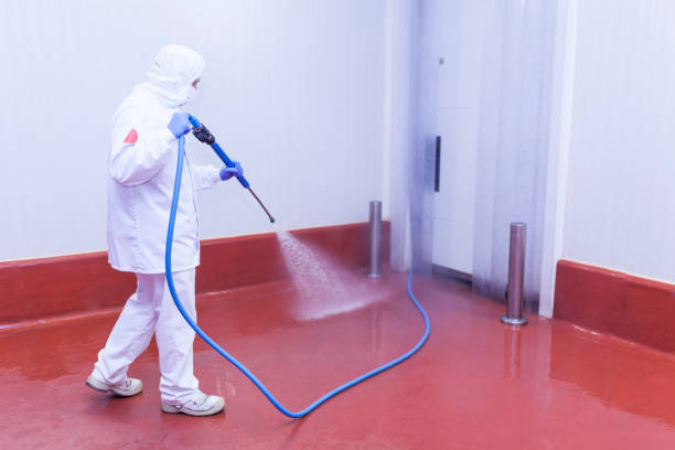 Best Building Exterior Washing  in Sterling City, TX